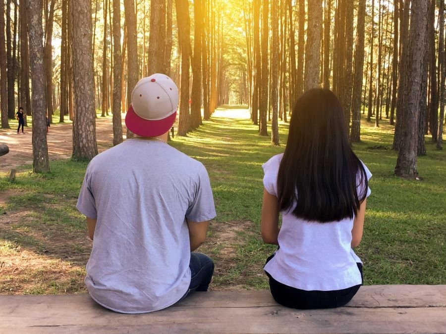 Fake Companionship Profiles