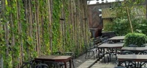 Gulshan Dating Guide